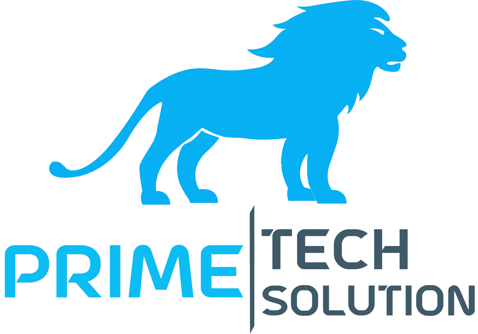 Logo Prime Teknologi Solusi